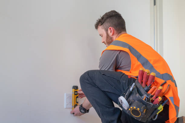 Best Ceiling Fan Installation Electrician  in Captain Cook, HI